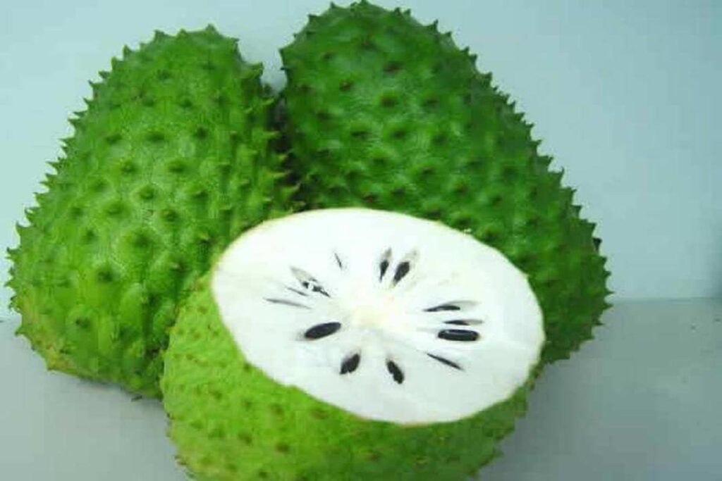 Manfaat Buah Sirsak Untuk Kesehatan