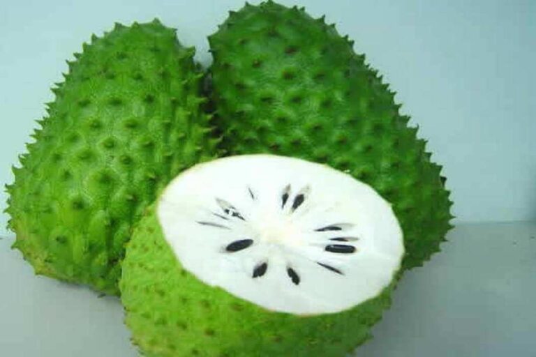 Manfaat Buah Sirsak Untuk Kesehatan