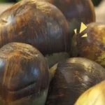 Manfaat Buah Siwalan