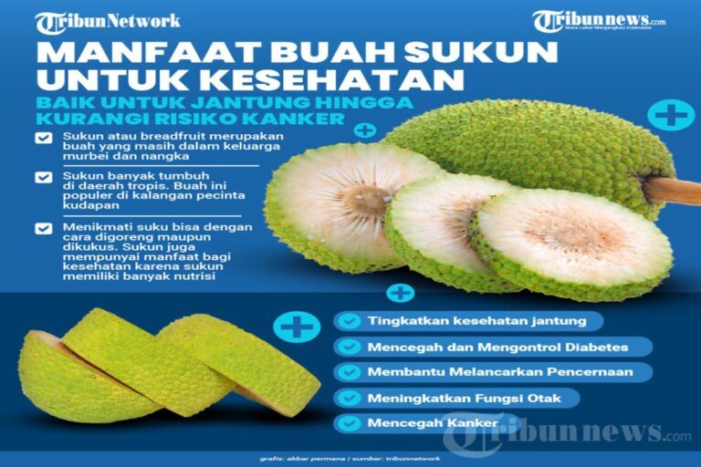 Manfaat Buah Sukun