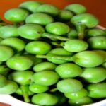 Manfaat Buah Takokak