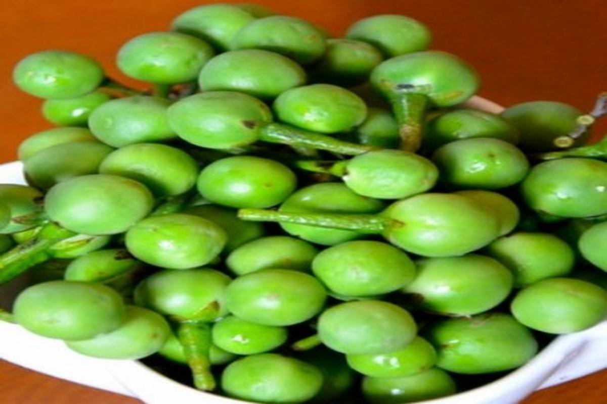 Manfaat Buah Takokak