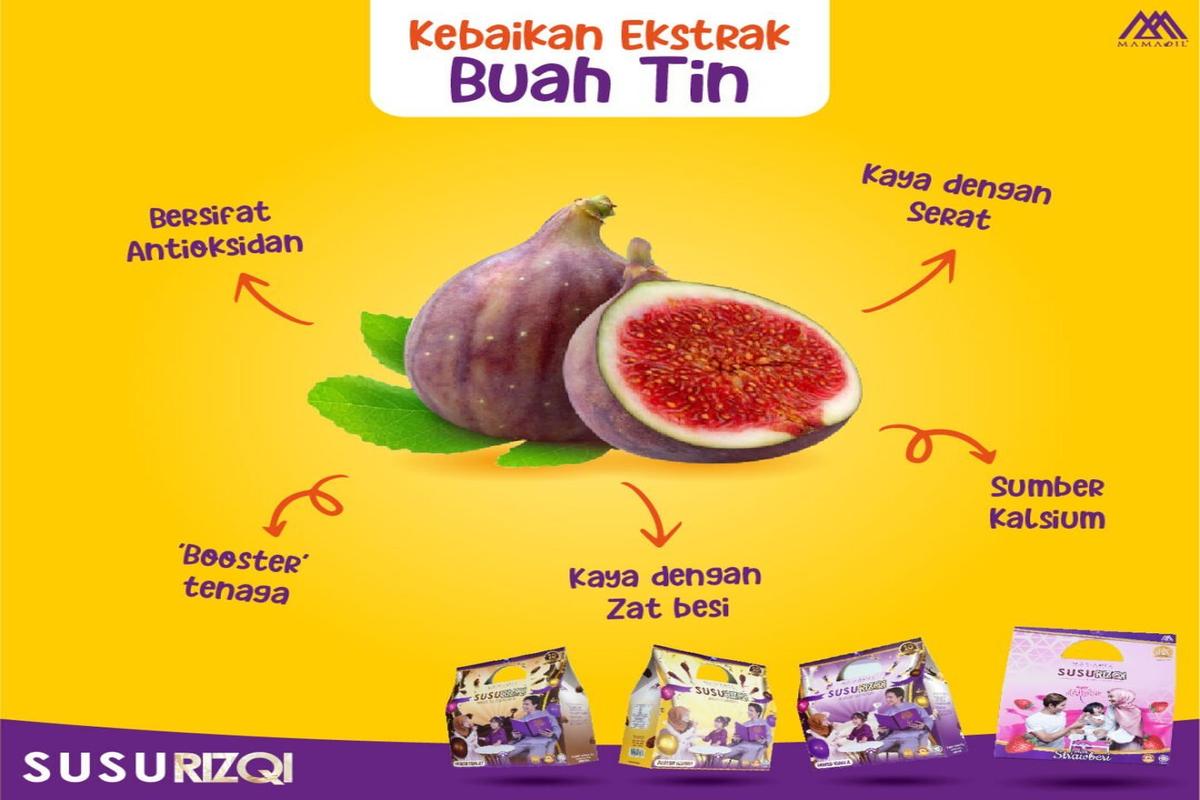 Manfaat Buah Tin