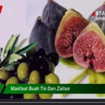 Manfaat Buah Tin Dan Zaitun