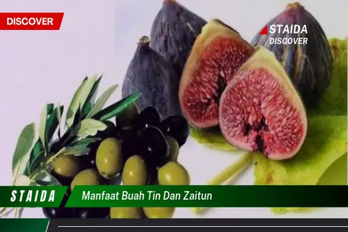 Manfaat Buah Tin Dan Zaitun