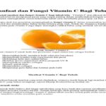 Manfaat Buah Vitamin C