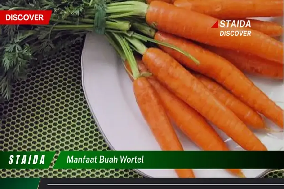 Manfaat Buah Wortel