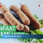 Manfaat Buah Yang Asam