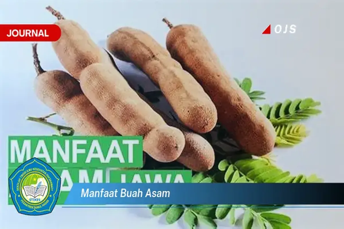 Manfaat Buah Yang Asam
