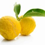 Manfaat Buah Yuzu