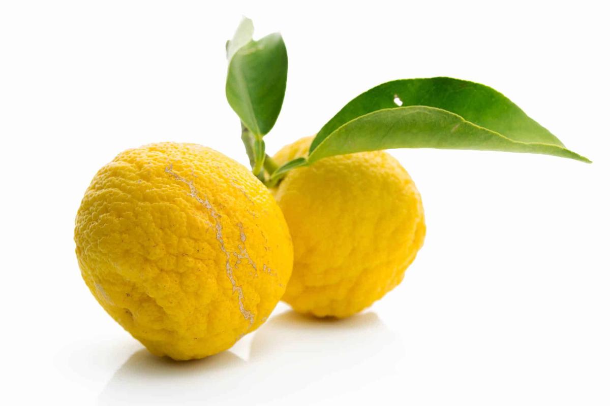 Manfaat Buah Yuzu