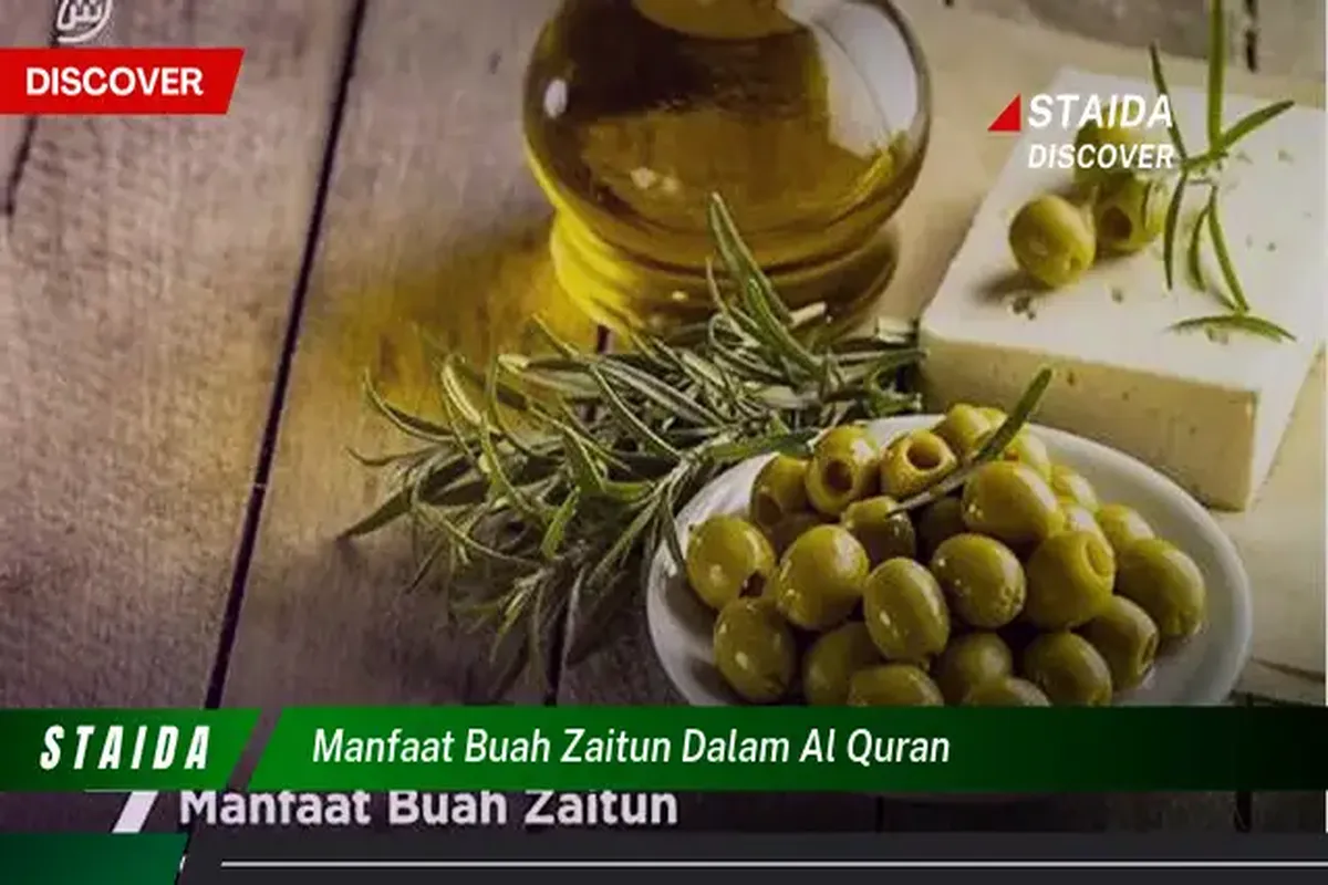 Manfaat Buah Zaitun Dalam Al Quran