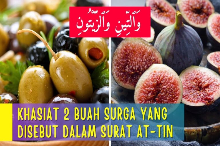 Manfaat Buah Zaitun Dan Buah Tin