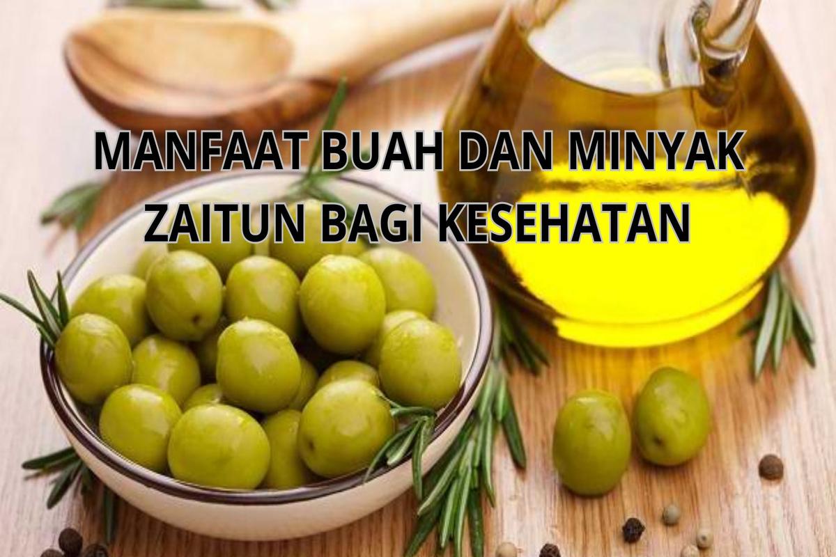 Manfaat Buah Zaitun Untuk Kesehatan
