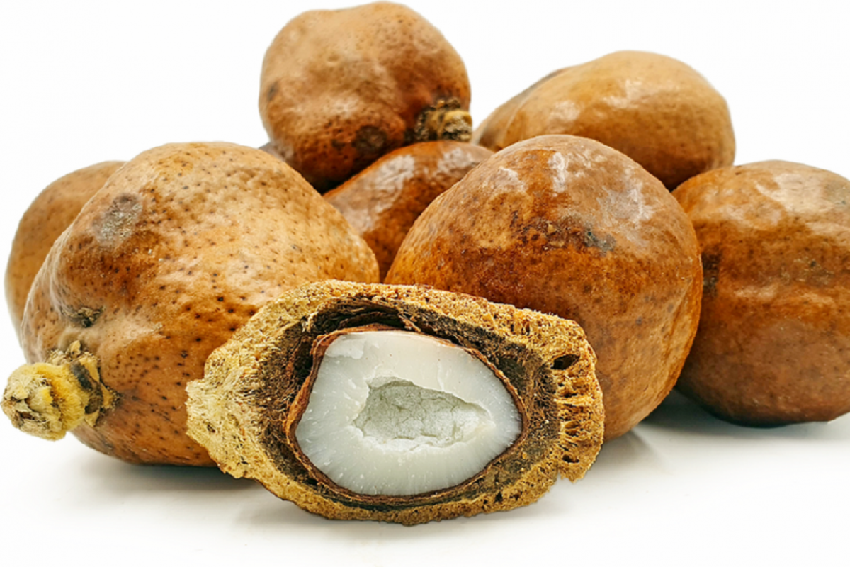 Manfaat Buah Zuriat