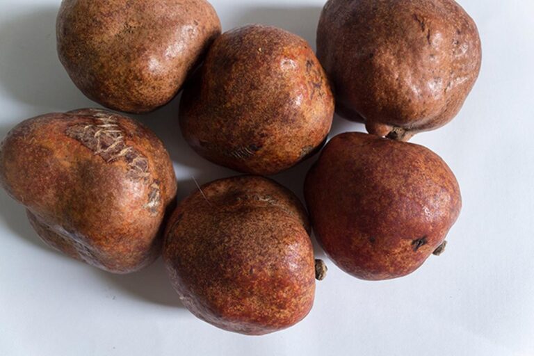 Manfaat Buah Zuriat Untuk Kesehatan