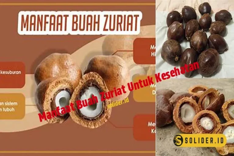 Manfaat Buah Zuriat Untuk Wanita