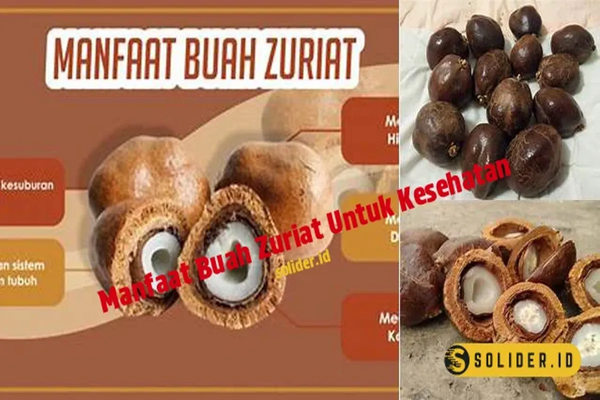 Manfaat Buah Zuriat Untuk Wanita