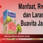 Manfaat Buavita Jambu