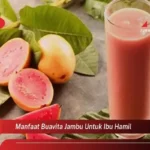 Manfaat Buavita Jambu Untuk Ibu Hamil