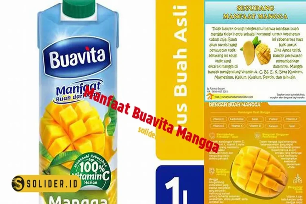 Manfaat Buavita Mangga