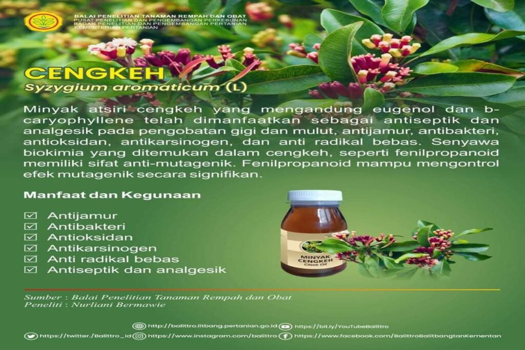 Manfaat Cengkeh