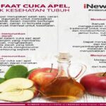 Manfaat Cuka Apel