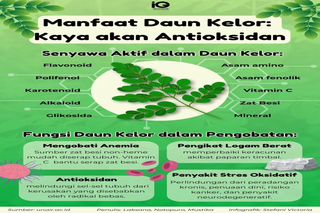 Manfaat Daun Kelor