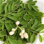 Manfaat Daun Kelor Untuk Kesehatan