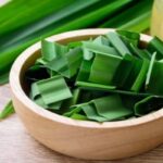 Manfaat Daun Pandan
