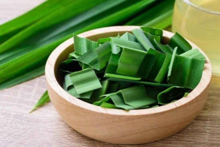 Manfaat Daun Pandan