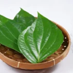 Manfaat Daun Sirih