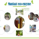Manfaat Eco Enzyme