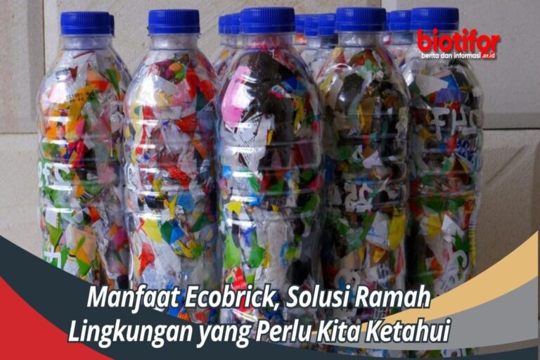 Manfaat Ecobrick