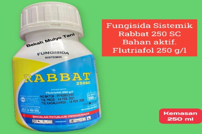 Manfaat Fungisida Rabbat