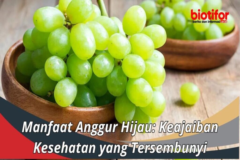 Manfaat Gg Hijau