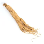 Manfaat Ginseng