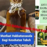Manfaat Habbatussauda Untuk Penyakit Apa Saja