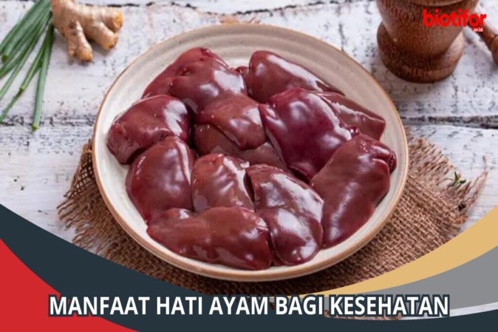 Manfaat Hati Ayam