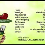Manfaat Herbal Oil Almahyra