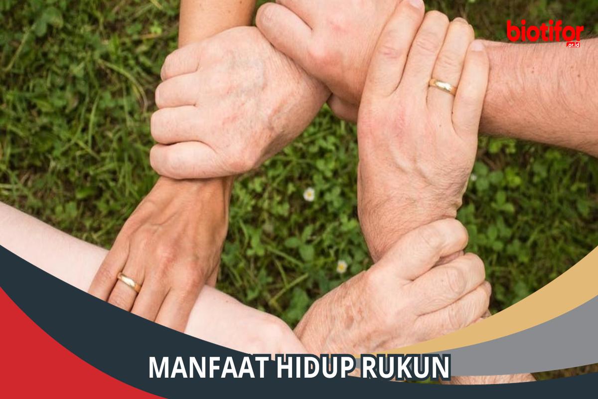 Manfaat Hidup Rukun Menurut Mazmur Adalah