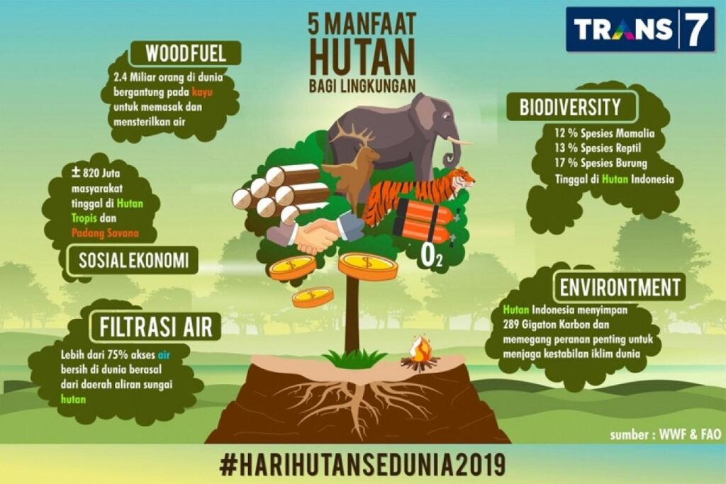 Manfaat Hutan