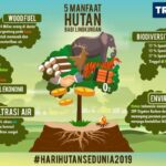 Manfaat Hutan
