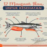 Manfaat Ikan