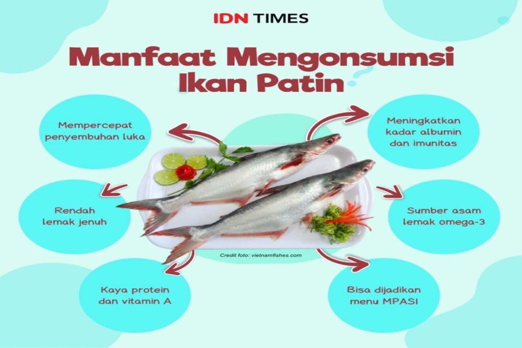 Manfaat Ikan Patin