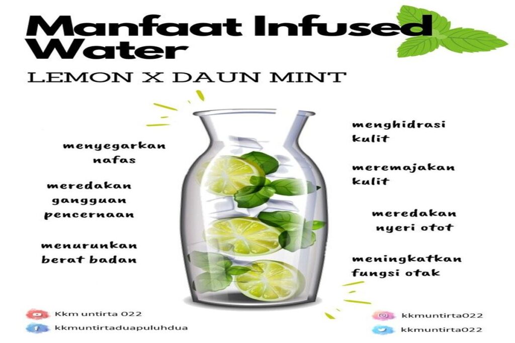 Manfaat Infused Water