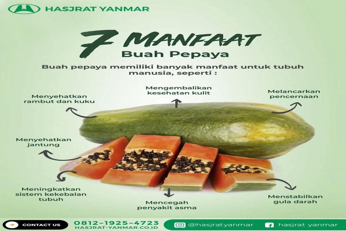 Manfaat Isi Buah Pepaya