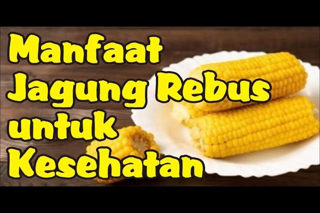 Manfaat Jagung Rebus