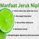 Manfaat Jeruk Nipis