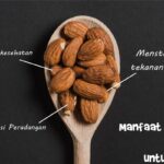 Manfaat Kacang Almond